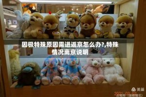 因极特殊原因需进返京怎么办?,特殊情况离京说明