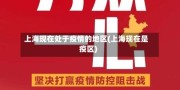 上海现在处于疫情的地区(上海现在是疫区)