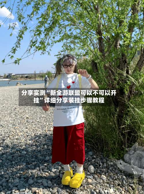 分享实测“新全游联盟可以不可以开挂”详细分享装挂步骤教程-第3张图片