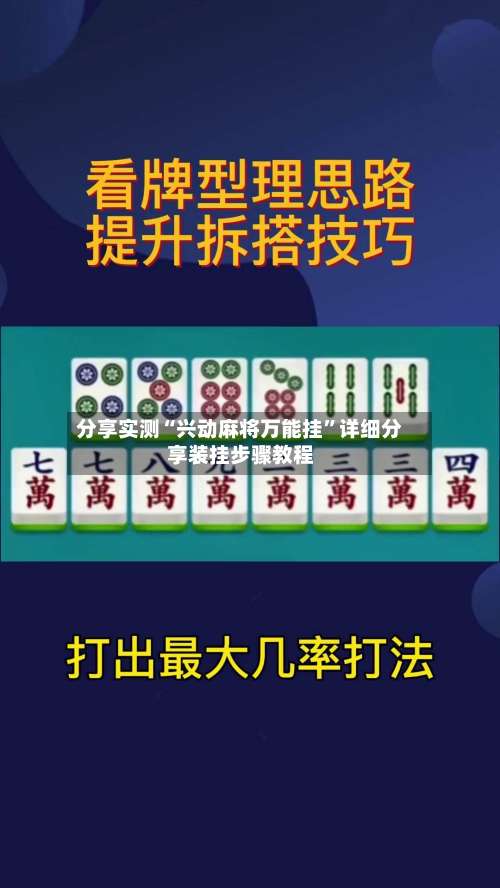 分享实测“兴动麻将万能挂”详细分享装挂步骤教程-第3张图片