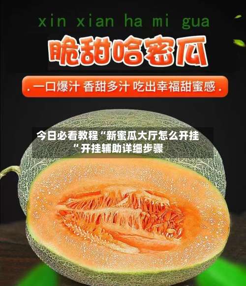 今日必看教程“新蜜瓜大厅怎么开挂”开挂辅助详细步骤-第2张图片