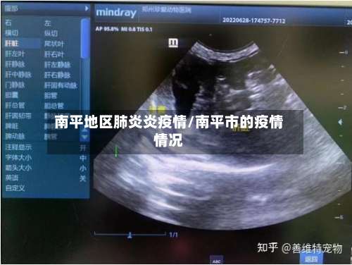南平地区肺炎炎疫情/南平市的疫情情况-第1张图片