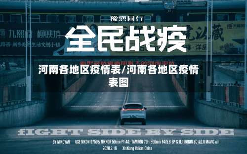 河南各地区疫情表/河南各地区疫情表图-第2张图片