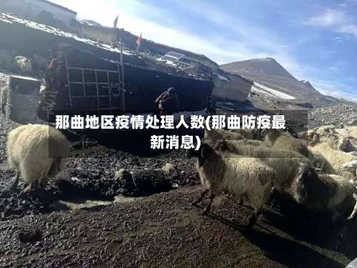 那曲地区疫情处理人数(那曲防疫最新消息)-第1张图片