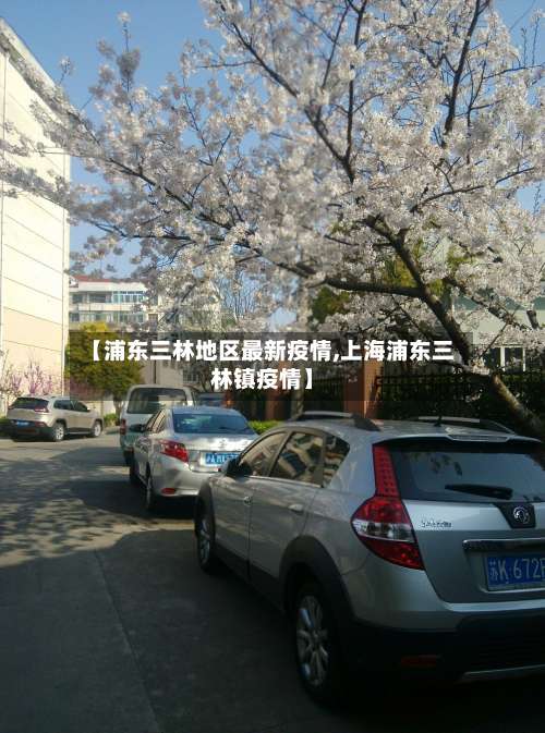 【浦东三林地区最新疫情,上海浦东三林镇疫情】-第3张图片
