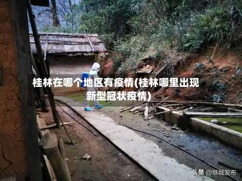 桂林在哪个地区有疫情(桂林哪里出现新型冠状疫情)-第1张图片